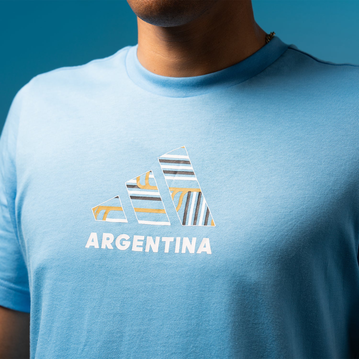 Argentina Copa Tee - Mens - Image 4